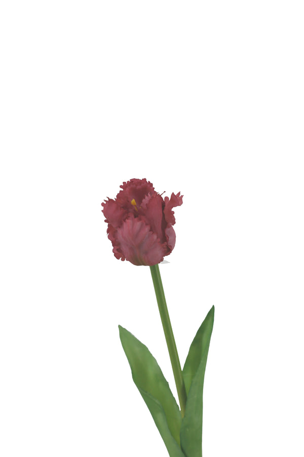 https://content.storeinfo.nl/applicatie/img/1092/20250324171023_3066449_MG1186.JPG