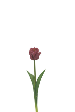 https://content.storeinfo.nl/applicatie/img/1092/20250325102928_3135005_MG1503.JPG