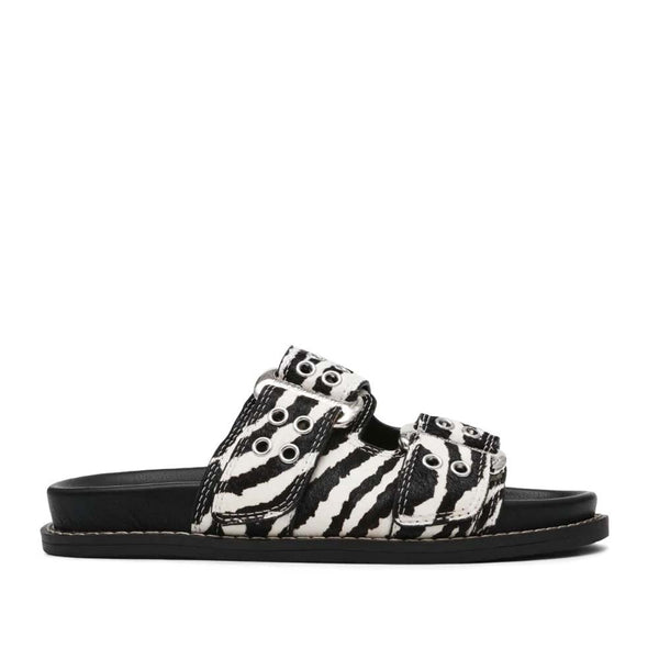 Agent-L  Black Zebra