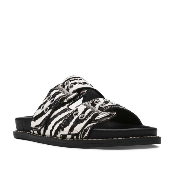 Agent-L  Black Zebra