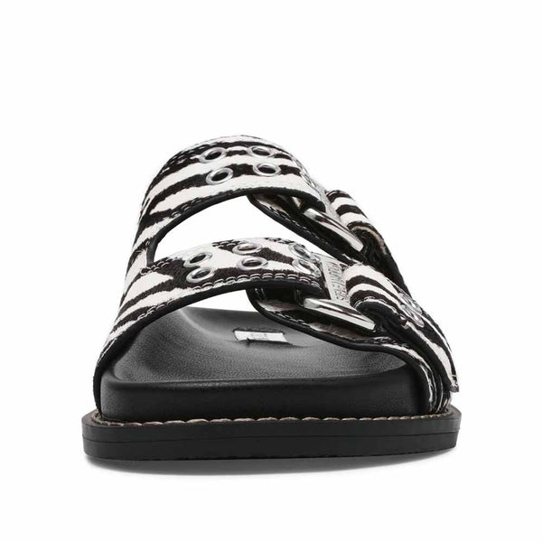 Agent-L  Black Zebra