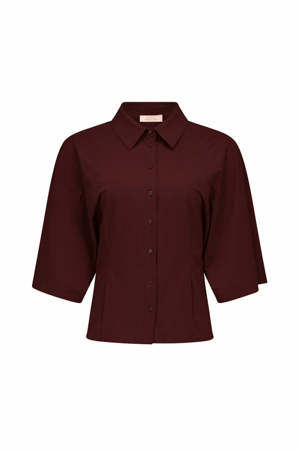 https://content.storeinfo.nl/applicatie/img/1092/00010554_chestnut_1.jpg