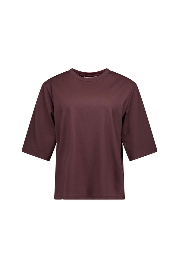https://content.storeinfo.nl/applicatie/img/1092/00010567_chestnut_1.jpg