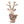 https://content.storeinfo.nl/applicatie/img/1092/20241121204407_1286260_7219352.jpg