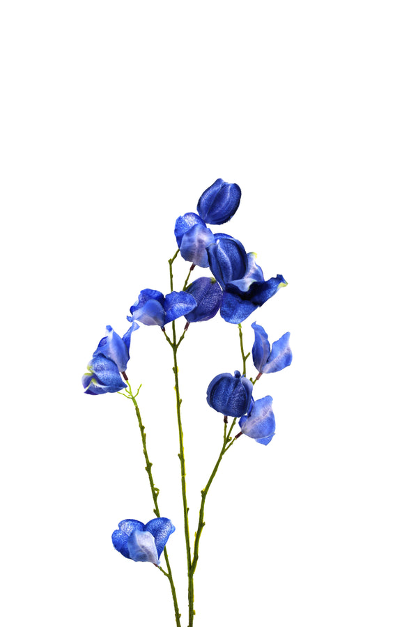 https://content.storeinfo.nl/applicatie/img/1092/20250317134002_2069439_MG0639.JPG