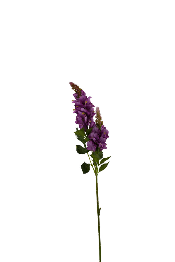https://content.storeinfo.nl/applicatie/img/1092/20250324155612_3063473_MG0976.JPG