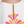 https://content.storeinfo.nl/applicatie/img/1092/20250804171942_120474_Schermafbeelding20250804171916.png