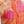 https://content.storeinfo.nl/applicatie/img/1092/20250804174624_120471_Schermafbeelding20250804174549.png