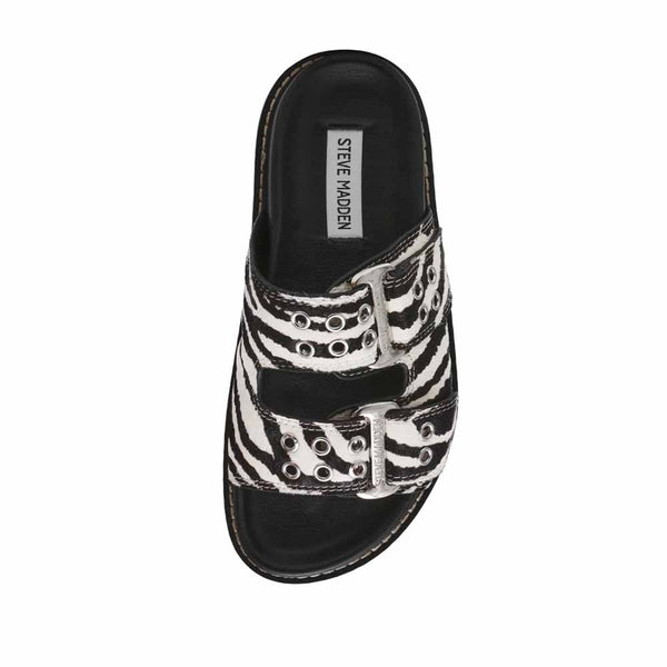 https://content.storeinfo.nl/applicatie/img/1092/20250805145033_1888662_BLACKZEBRA5.jpg
