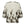 https://content.storeinfo.nl/applicatie/img/1092/20260518211423_960055_MiraaGOBlouseCremeBrown2.jpg