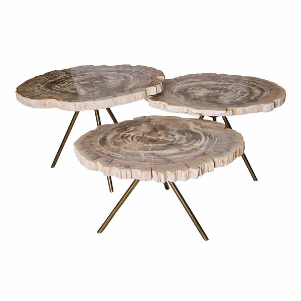 New Khine Petrified wood coffee table, per stuks