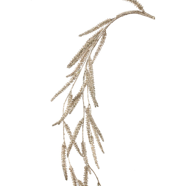 Leaves Plant dogtail hanging spr