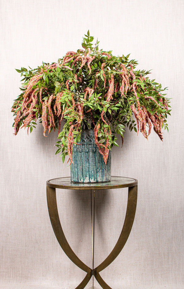 Twig Plant amaranthus spray with leaves