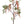 Twig Plant amaranthus spray with leaves