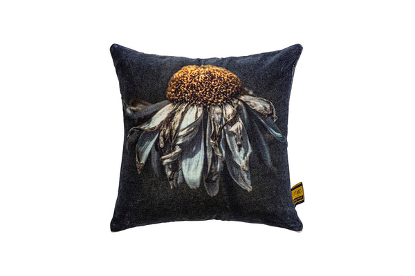 Hava cotton velvet cushion daisy flower