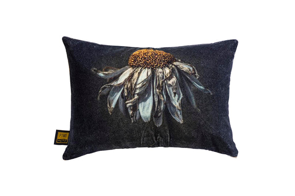 Hava cotton velvet cushion daisy flower