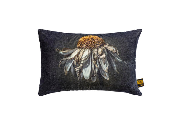 Hava cotton velvet cushion daisy flower