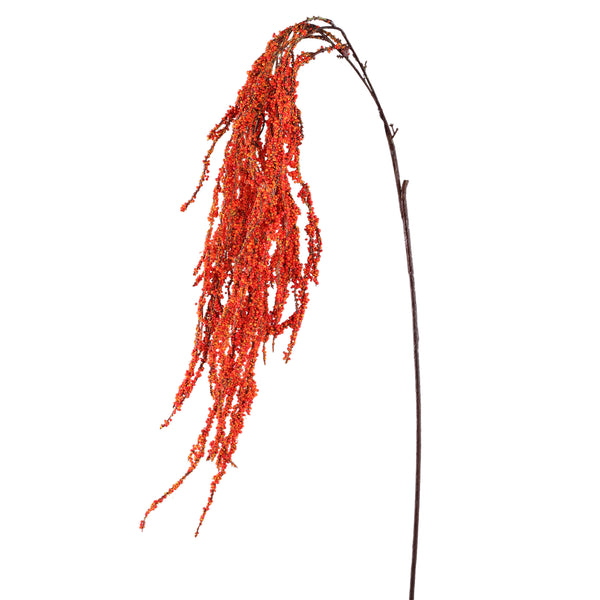 Twig Plant amaranthus hanging spray