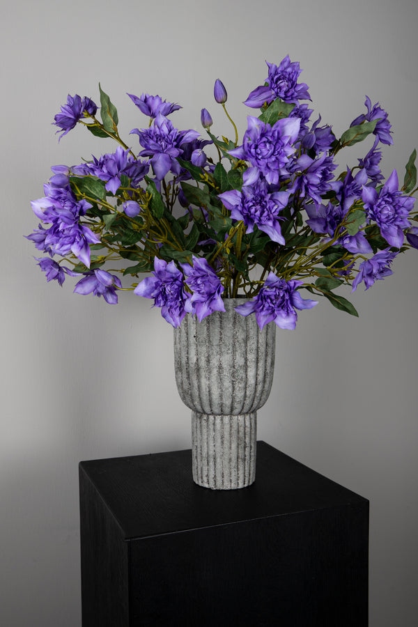 Garden Flower clemetis spray with buds