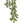 Twig Plant hanging pine spray with pinecones