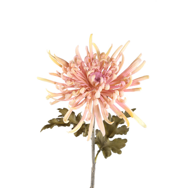 Garden Flower chrysanthemum spray