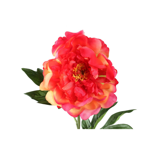 Peony Flower peony spray