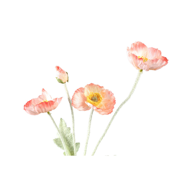 Poppy Flower spray with 3 flowers