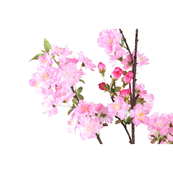 Blossom Flower plum blossom spray