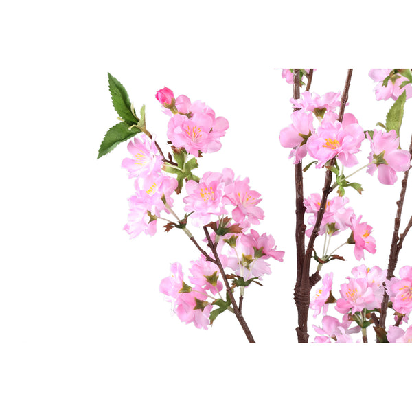 Blossom Flower plum blossom spray high