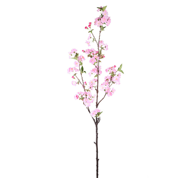 Blossom Flower plum blossom spray high