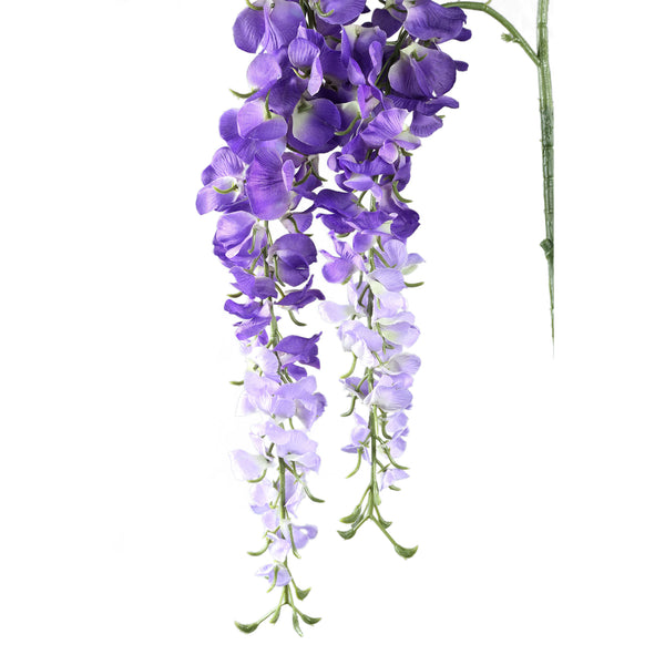 Garden Flower wisteria spray leaves