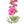 Hollyhock Flower spray with leaves