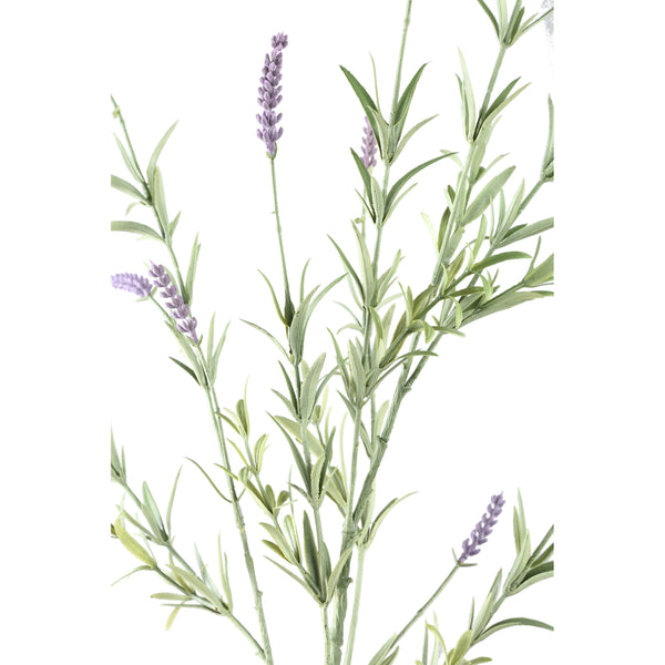 Twig Plant lavender spray