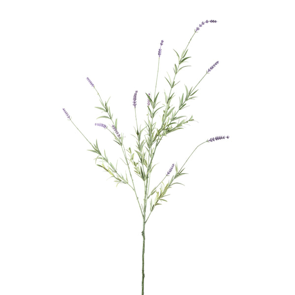 Twig Plant lavender spray