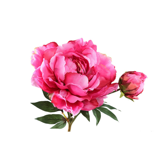 Peony Flower spray with bud and leaves