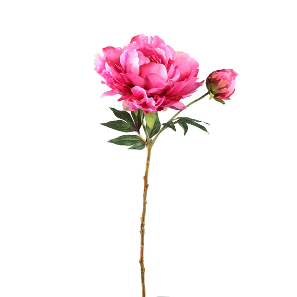 Peony Flower spray with bud and leaves