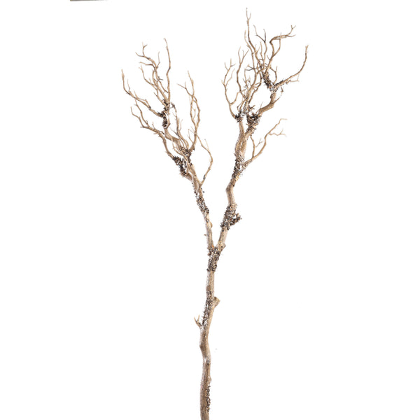 Twig Plant tree spray high