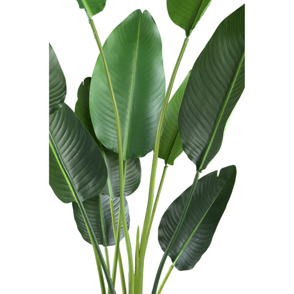 Leaves Plant PE real touch strelitzia