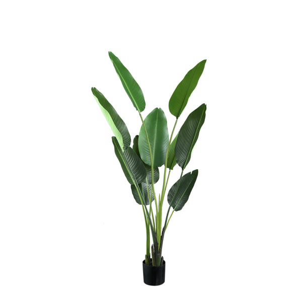 Leaves Plant PE real touch strelitzia